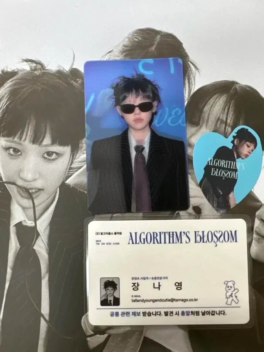 291132684_{cnt}_1727311679_w{